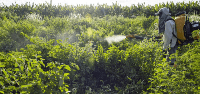 Risco socioambiental